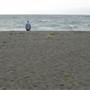 Black Sand Beach, Bass Point Reserve & Shell Cove