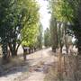 Blayney Area