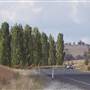 Blayney Area
