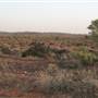 Broken Hill Roads