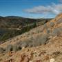 Captains Flat Dam
