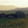 Dalgety/Cooma