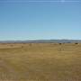 Dalgety/Cooma