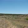 Dalgety/Cooma