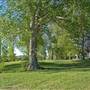 Dalgety/Cooma