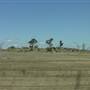 Dalgety/Cooma