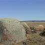 Dalgety/Cooma