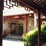 Chinese Garden of Friendship - Darling Harbour