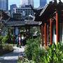 Chinese Garden of Friendship - Darling Harbour