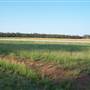 Coonabarabran Jockey Club