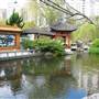 Chinese Garden of Friendship - Darling Harbour