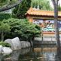 Chinese Garden of Friendship - Darling Harbour