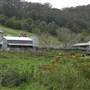 Jamberoo - Saddleback Mountain Road