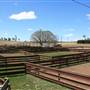 Deeargee Woolshed