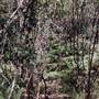 Deep Creek Reserve