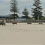Dolls Point