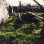 Dorrigo Steam Railway & Museum (Non-Profit Collection)