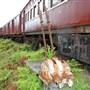Dorrigo Steam Railway & Museum (Non-Profit Collection)