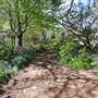 Lady Fairfax Gardens