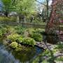 Lady Fairfax Gardens
