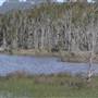 Lake Cathie - Lake Innes Nature Reserve