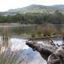Lake Yarrunga