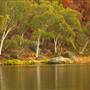 Dunns Swamp