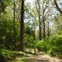 Lane Cove National Park