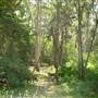Lane Cove National Park