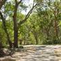 Lane Cove National Park