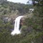 Ebor Falls