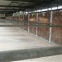 Menangle Park Paceway