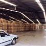 Elders Yennora Wool Store