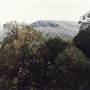 Barrington Tops National Park