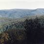 Barrington Tops National Park