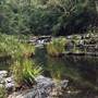 Barrington Tops National Park