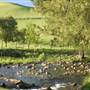 Barrington Tops National Park