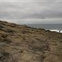 Bass Point Reserve to Maloneys Bay