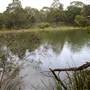 Berrima Reserve