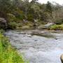 Berrima Reserve