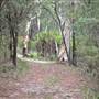Berrima Reserve