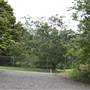 Berry Area Farms