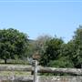 Berry Area Farms