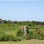 Berry Area Farms