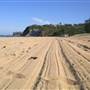 Bilgola Beach