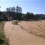 Bilgola Beach