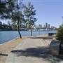 Blackwattle Bay Park