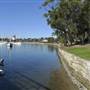 Blackwattle Bay Park