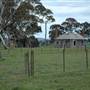 Boorowa