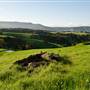 Jamberoo
